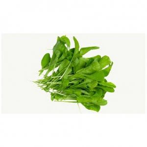 ARUGULA